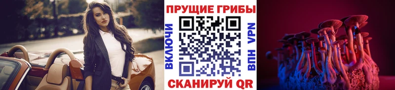 цена   Кызыл  mega сайт  Галлюциногенные грибы ЛСД 